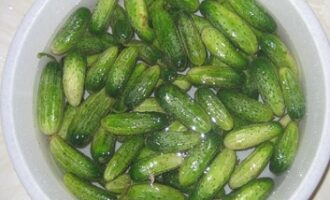 Соленые огурцы на зиму как бочковые
