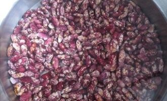 Лобахашу