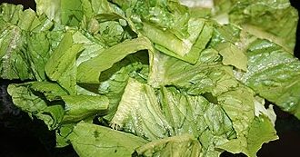 Салат ромэн с моцареллой и травами