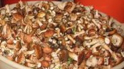 Грибная Юшка с Домашней Лапшой