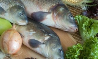 Рецепт Пьяного Сазана с Винным Соусом