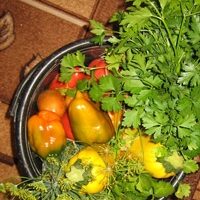Рецепт китайских голубцов с овощами и соусом