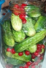Маринованные огурцы с клюквой