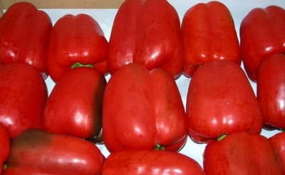 Лечо с желтой алычой