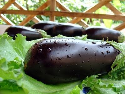Баклажаны в сметане