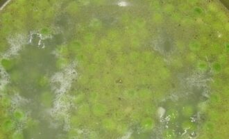 Суп-пюре из зелёного горошка с чесноком и сливками