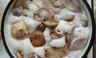 Маринованные рыжики