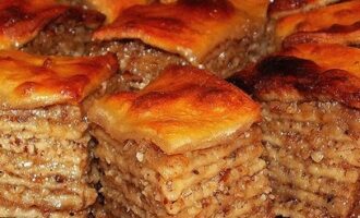 Пахвала оренбургская