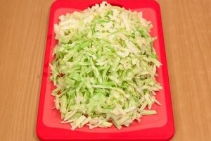 Щи из свежей капусты