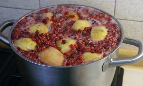 Компот из брусники