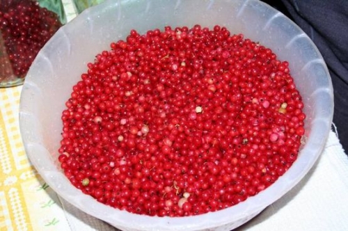 Компот из брусники