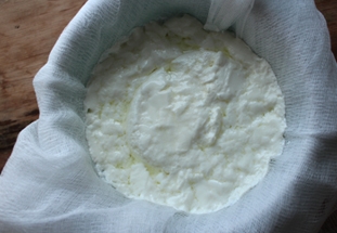 Кумыс