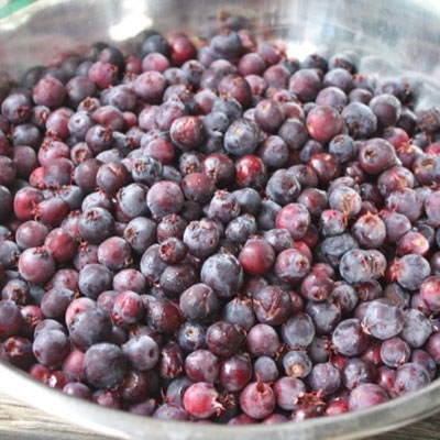 Мороженое из ирги