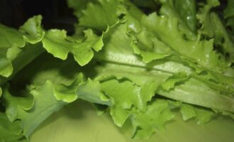 Салат «Цезарь» с цыпленком и грибами