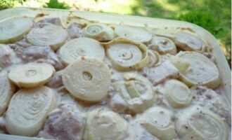 Шашлык из свинины