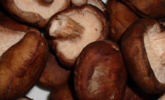 Белый грибной соус для рыбы