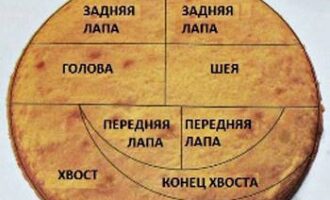 Торт "Дракон"