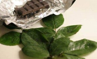Шоколадные листочки