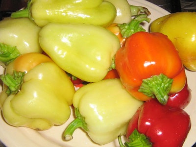 Закуска из перца вкусный рецепт с фото пошагово и видео