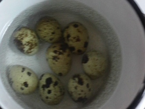 Салат из редьки