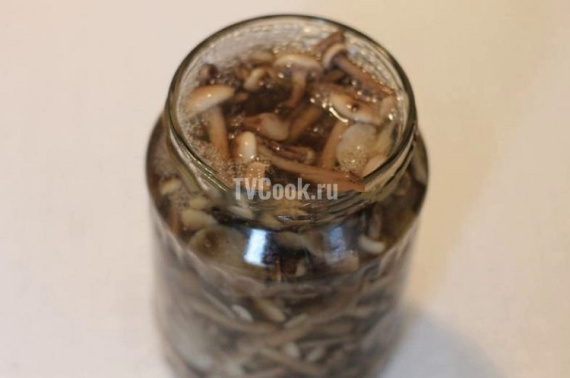 Маринованные опята на зиму