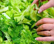 Салат из креветок с помидорами черри