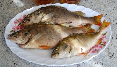 Окунь речной в рассоле