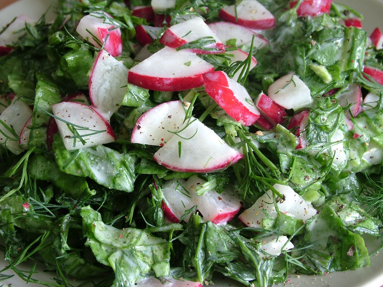 Салат из щавеля свежего рецепты