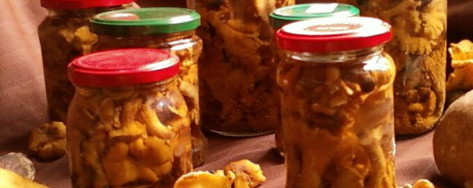 Маринованные лисички на зиму