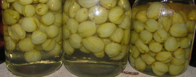 Компот из крыжовника с апельсином