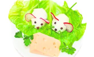 Мышки из яиц