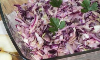 Салат из краснокочанной и белокочанной капусты