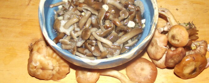 Грибной салат с чесноком