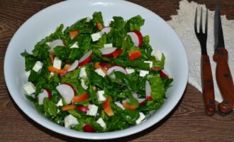 Салат со шпинатом, редисом и козьим сыром