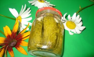 Маринованные огурцы