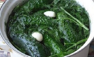 Малосольные огурчики на минералке