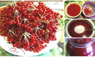 Калина протёртая с сахаром