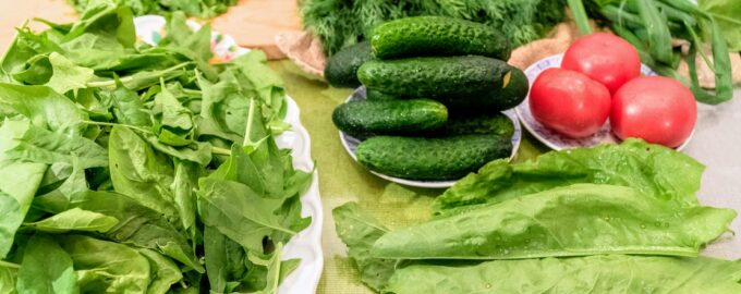 Заготовка и замораживание зелени на зиму