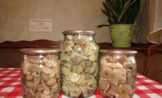 Маринованные рядовки