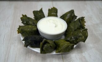 Долма с начинкой из фарша в виноградных листьях
