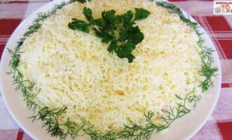 Слоеный салат с индейкой и сыром