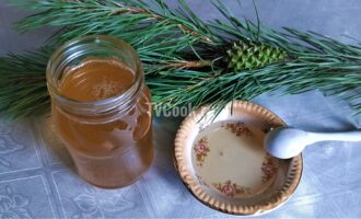 Сосновый сироп без варки